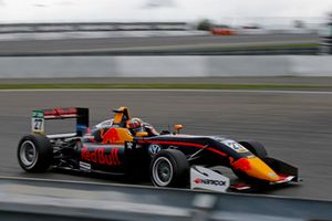 Dan Ticktum, Motopark Dallara F317 - Volkswagen