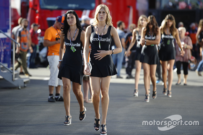 Lovely girls in the paddock