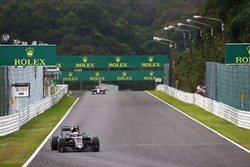 Jenson Button, McLaren MP4-31