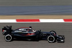 Stoffel Vandoorne, McLaren MP4-31