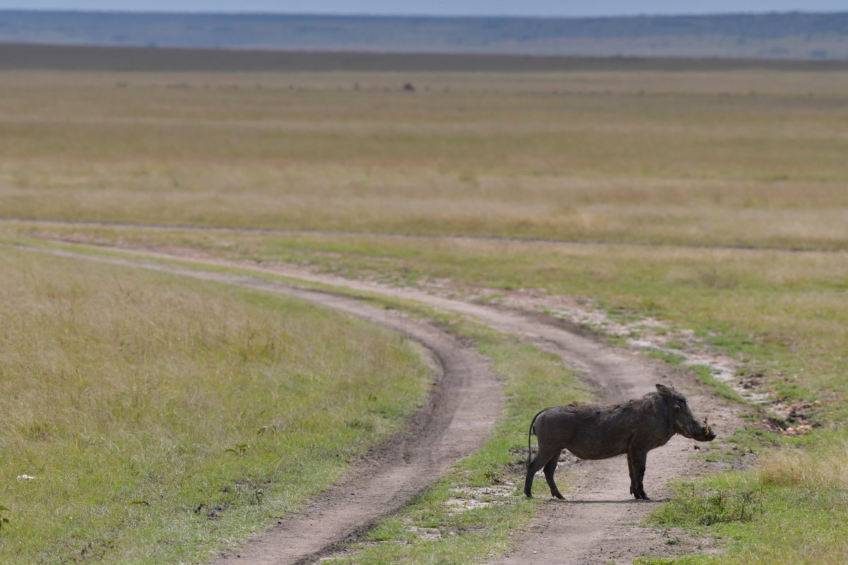 Atmosphere in Kenya
