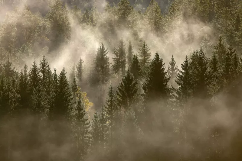 Atmosphere