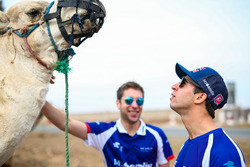 Robin Frijns, Amlin Andretti Formula E Team and Antonio Felix da Costa, Amlin Andretti Formula E Tea