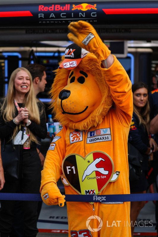 Уболівальник Макса Ферстаппена, Red Bull Racing