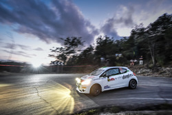 Damiano De Tommaso, Paolo Rocca, Power Car Team R2B Peugeot 208