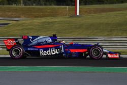Шон Гелаэль, Scuderia Toro Rosso STR12
