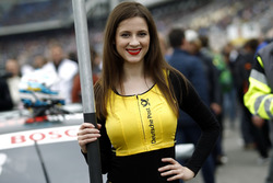 Grid girl of René Rast, Audi Sport Team Rosberg, Audi RS 5 DTM