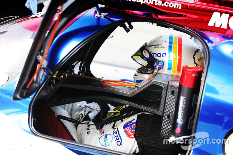 Fernando Alonso, United Autosports