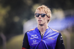 Brendon Hartley, Scuderia Toro Rosso