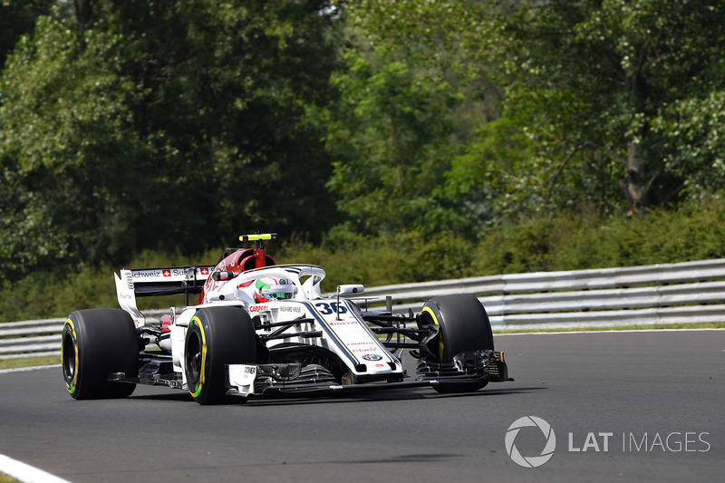 Antonio Giovinazzi, Sauber C37