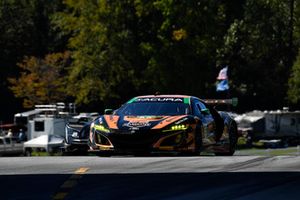 #86 Michael Shank Racing with Curb-Agajanian Acura NSX, GTD: Katherine Legge, Alvaro Parente, Trent Hindman