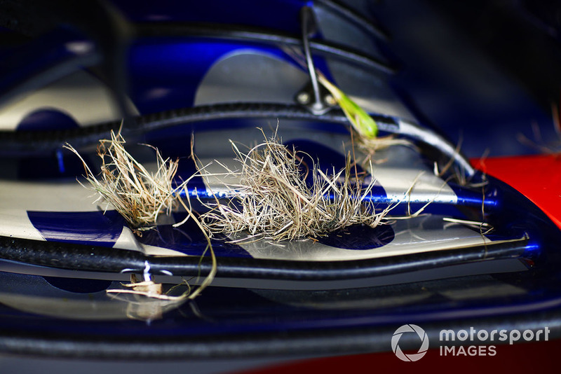 Rerumputan di bagian sayap STR13 milik Pierre Gasly, Scuderia Toro Rosso