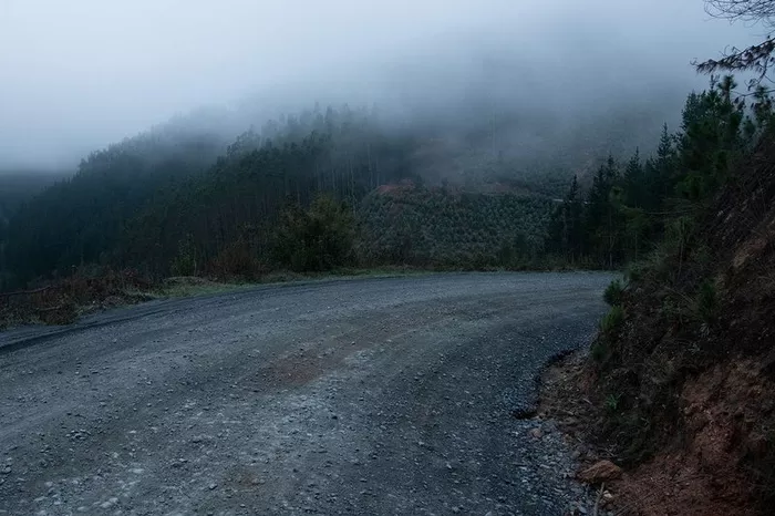 Vista general del camino