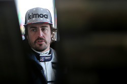 Fernando Alonso, United Autosports