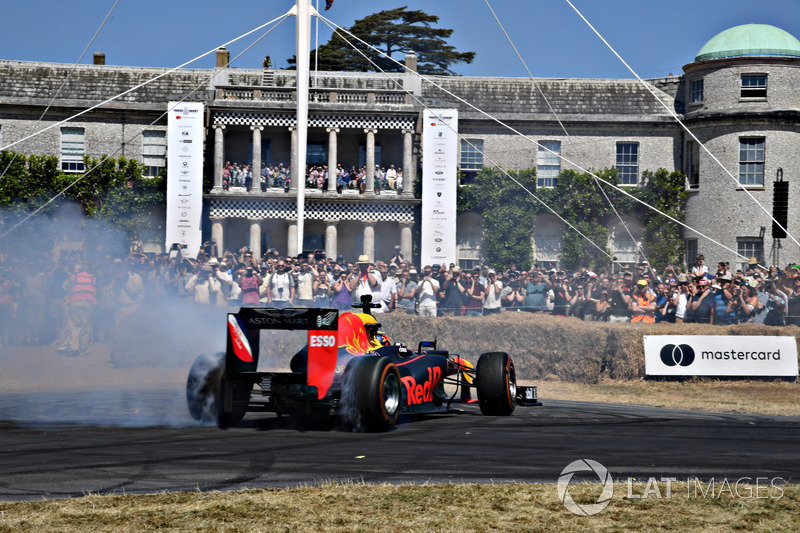Red Bull RB8 Patrick Friesacher