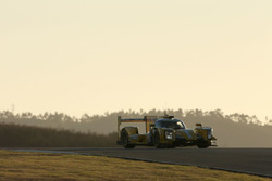 Frits van Eerd, Jan Lammers, Racing Team Nederland, Dallara P217