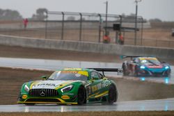 #8 Mercedes-AMG GT3: Max Twigg, Tony DAlberto