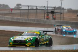 #8 Mercedes-AMG GT3: Max Twigg, Tony DAlberto