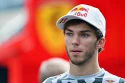 Pierre Gasly, Scuderia Toro Rosso