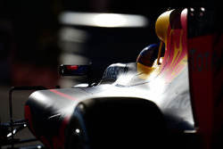 Daniel Ricciardo, Red Bull Racing RB12