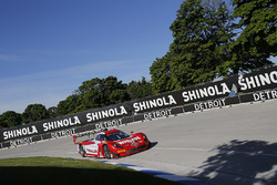#31 Action Express Racing Corvette DP: Eric Curran, Dane Cameron