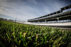 Gras im Infield des Indianapolis Motor Speedway