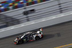 #86 Michael Shank Racing Acura NSX: Oswaldo Negri Jr., Jeff Segal, Tom Dyer, Ryan Hunter-Reay