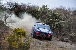 Thierry Neuville, Nicolas Gilsoul, Hyundai Motorsport, Hyundai i20 Coupe WRC