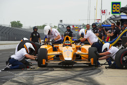 Fernando Alonso, Andretti Autosport Honda