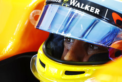 Fernando Alonso, McLaren
