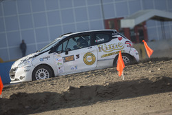 Luca Bottarelli, Peugeot 208