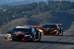 #93 Michael Shank Racing Acura NSX: Andy Lally, Katherine Legge