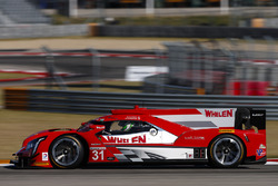 #31 Action Express Racing Cadillac DPi: Eric Curran, Dane Cameron