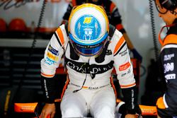 Fernando Alonso, McLaren