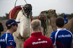 Antonio Felix da Costa, Amlin Andretti Formula E Team and Felix Rosenqvist, Mahindra Racing