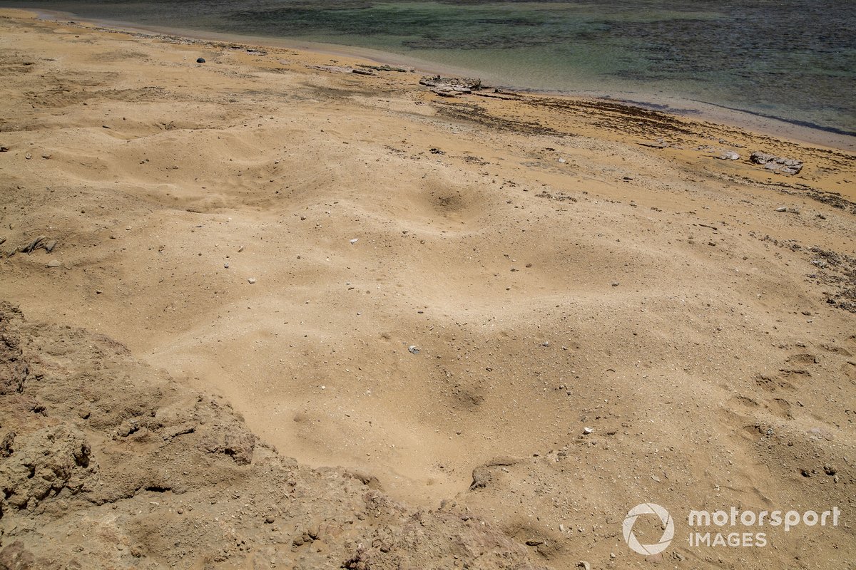 Nidos de tortugas en la playa