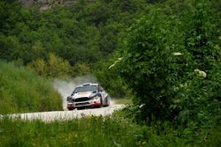 Andrea Dalmazzini, Andrea Albertini, Ford Fiesta R5