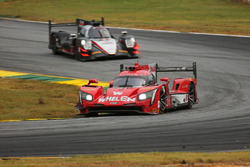 #31 Action Express Racing Cadillac DPi: Eric Curran, Dane Cameron, Mike Conway