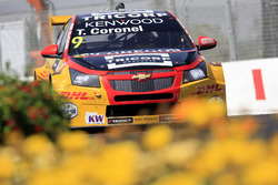 Tom Coronel, Roal Motorsport, Chevrolet RML Cruze TC1