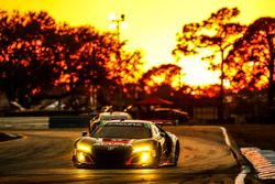 #86 Michael Shank Racing Acura NSX: Oswaldo Negri Jr., Jeff Segal, Tom Dyer