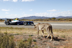 Un ghepardo con una monoposto di Formula E