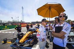 Stoffel Vandoorne, McLaren, on the grid