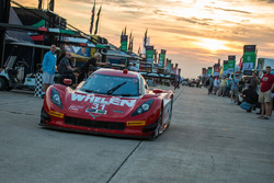#31 Action Express Racing Corvette DP: Eric Curran, Dane Cameron, Scott Pruett