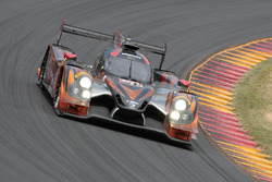 #60 Michael Shank Racing with Curb/Agajanian, Ligier JS P2 Honda: John Pew, Oswaldo Negri, Olivier P