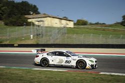 Alex Zanardi, Roal Motorsport