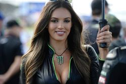 Hot Monster energy girl