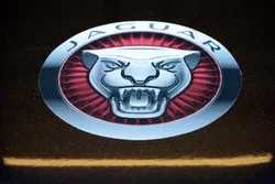 Dettaglio della Jaguar Racing