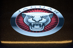 Dettaglio della Jaguar Racing