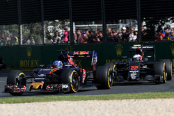 Max Verstappen, Scuderia Toro Rosso STR11
