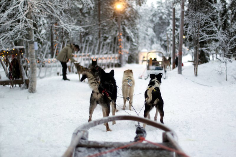 Arctic Lapland Rally 2020
